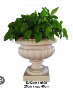 Chậu Cây Xi Măng Đẹp